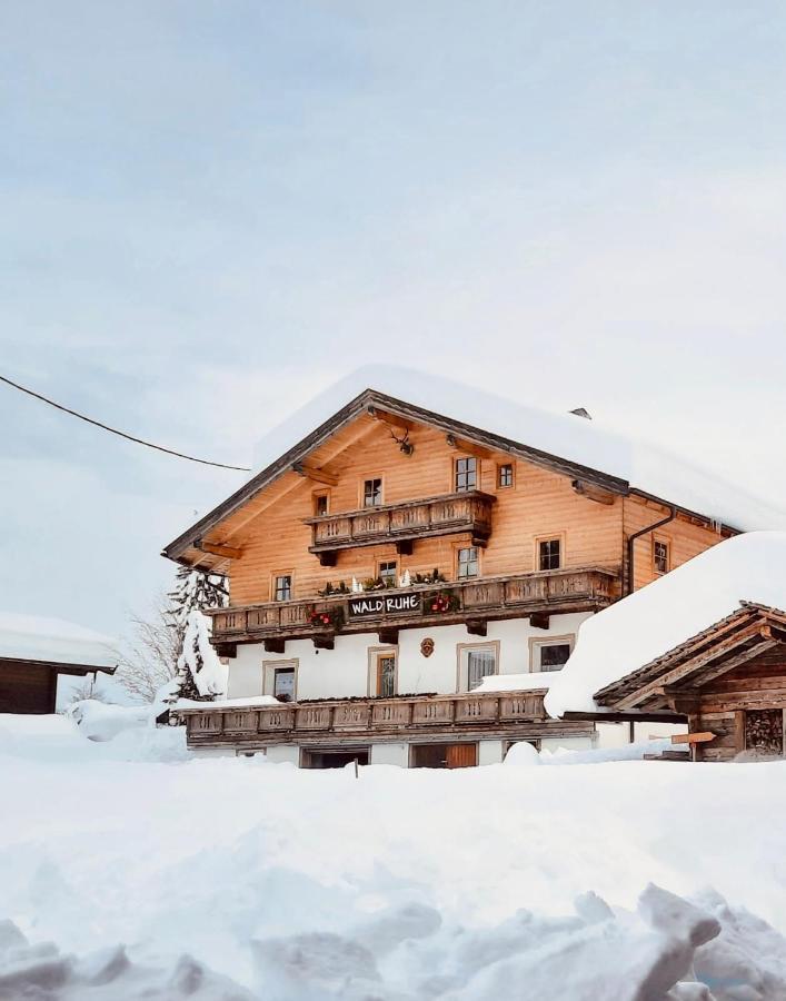 Waldruhe Appartements ザンクト・ヤーコプ・イン・デフェルエッゲン エクステリア 写真